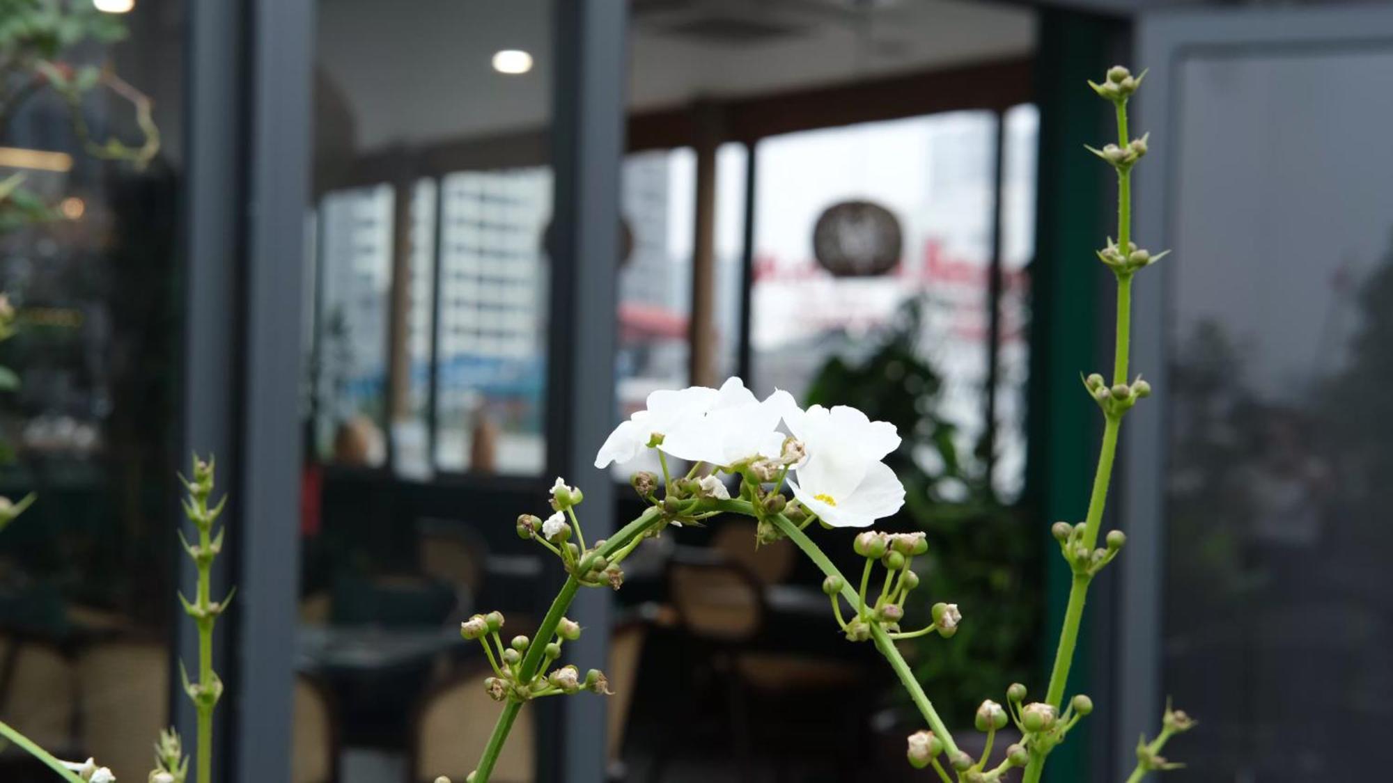 The Bloom Classic - Hotel And Bistro Hanoi Buitenkant foto