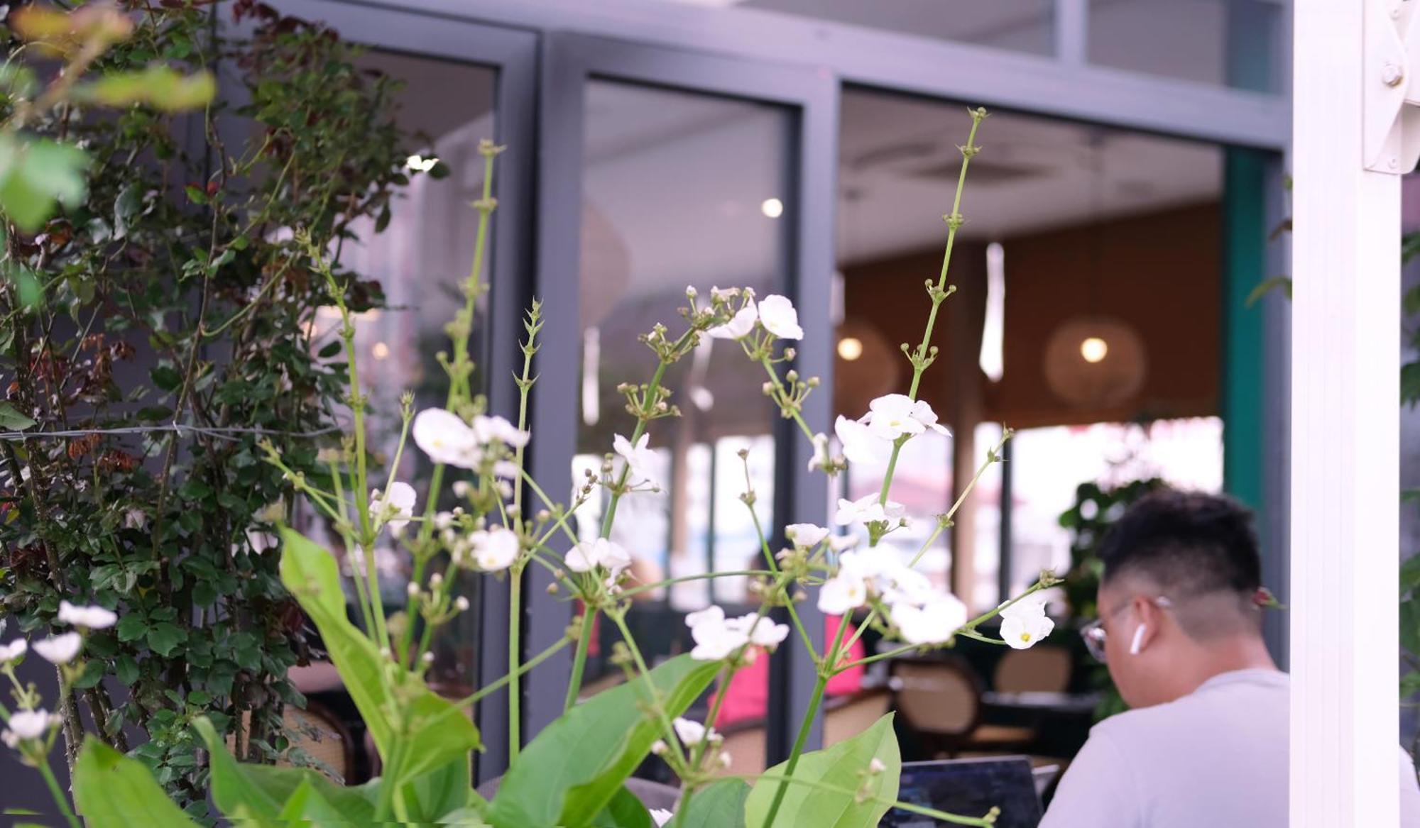 The Bloom Classic - Hotel And Bistro Hanoi Buitenkant foto
